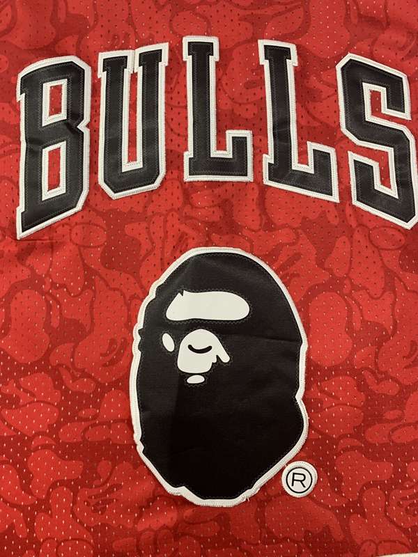 Chicago Bulls 1996/97 Red #93 BAPE Classics Basketball Jersey (Stitched)