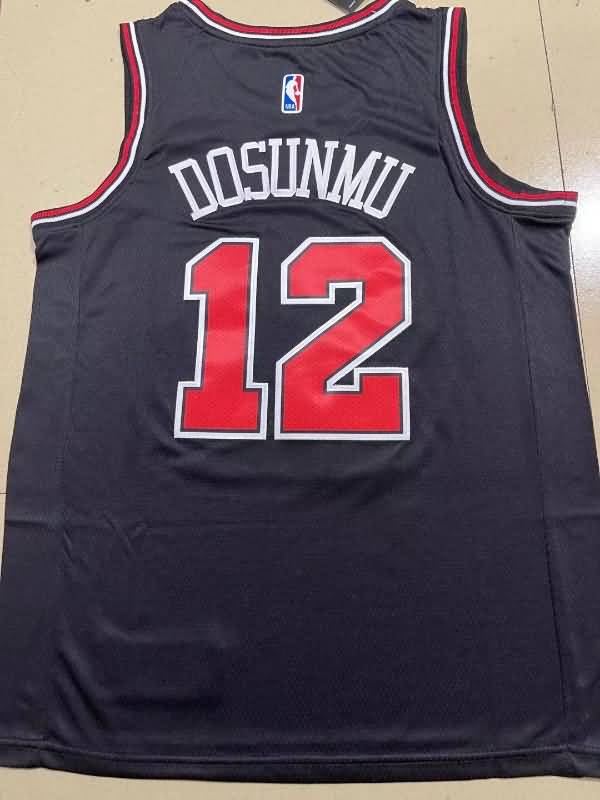 Chicago Bulls Black #12 DOSUNMU Basketball Jersey (Stitched)