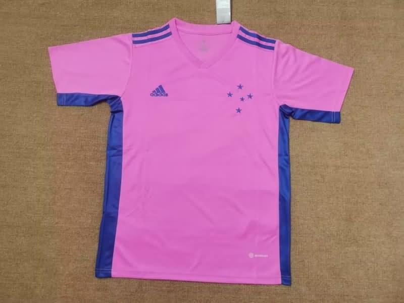 Cruzeiro Soccer Jersey Pink Replica 2022