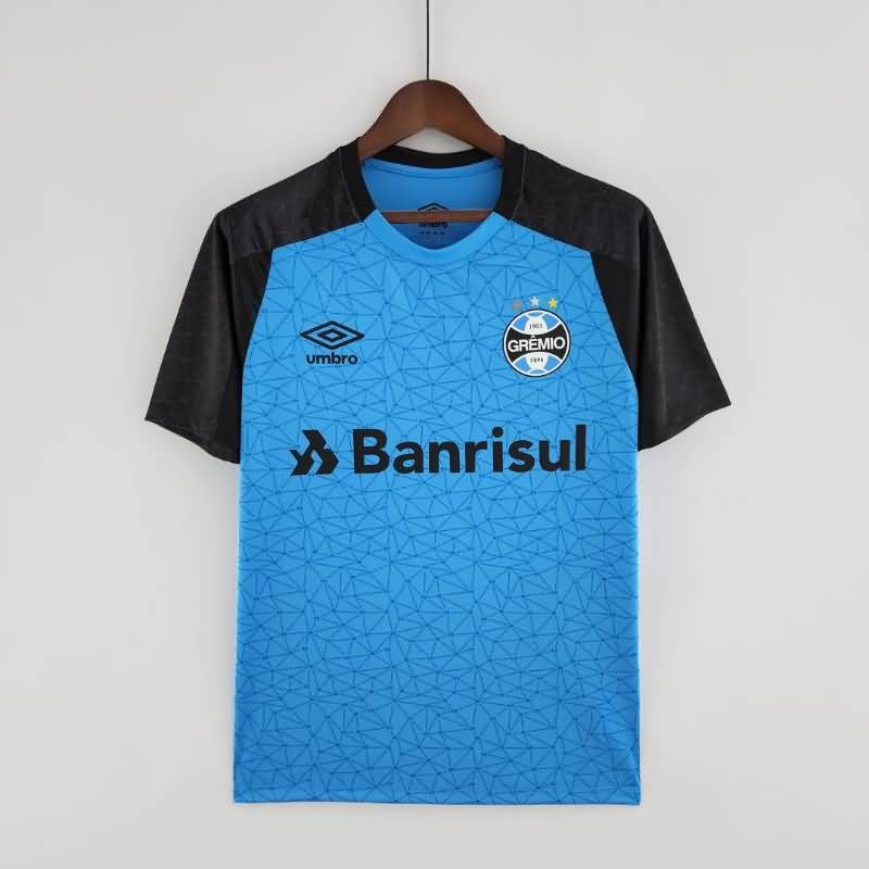 Cruzeiro Training Jersey Replica 2022