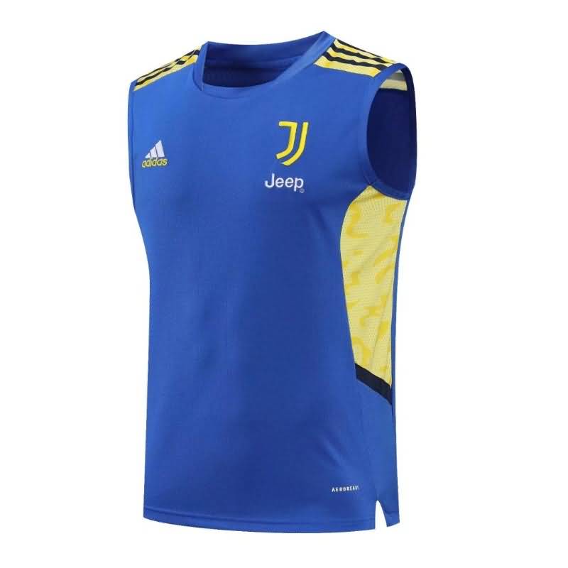 Juventus Soccer Jersey Blue Vest Replica 22/23