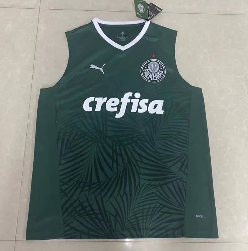 Palmeiras Soccer Jersey Green Vest Replica 2022