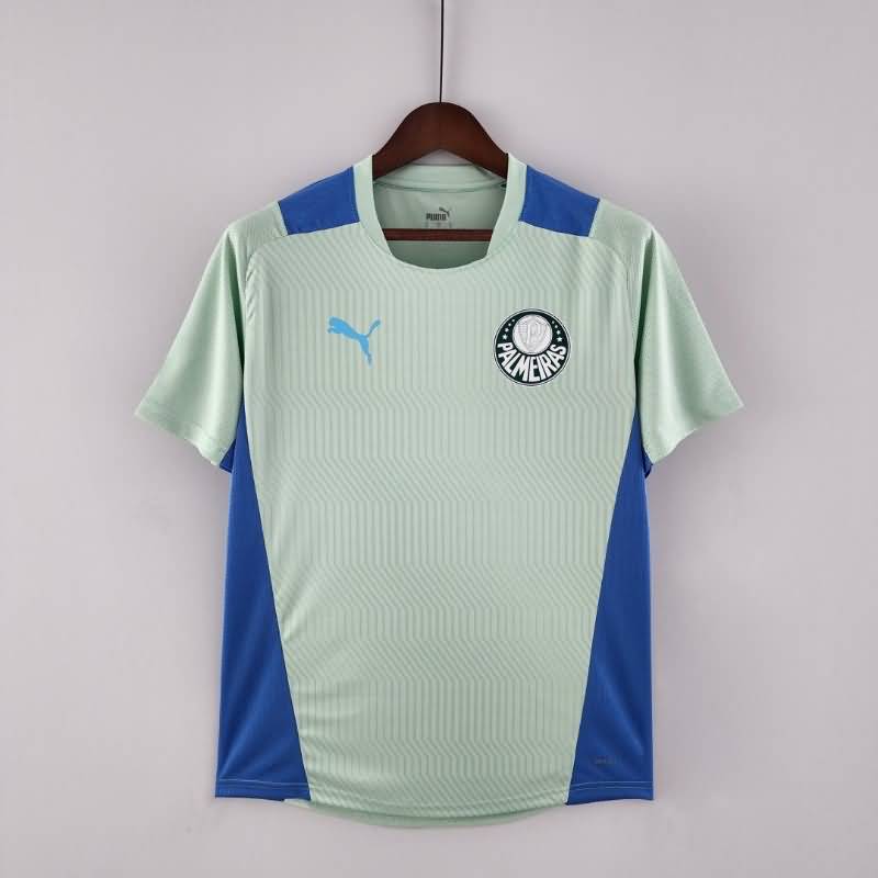 Palmeiras Training Jersey Replica 2022