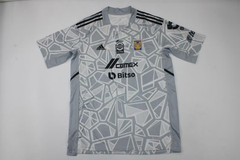 Tigres UANL Soccer Jersey Goalkeeper Grey Replica 2022