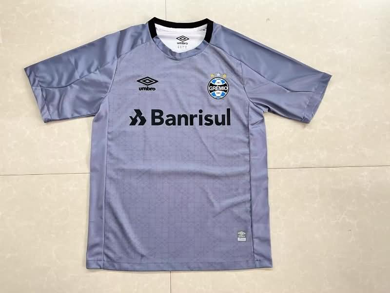 Gremio Training Jersey Replica 2023