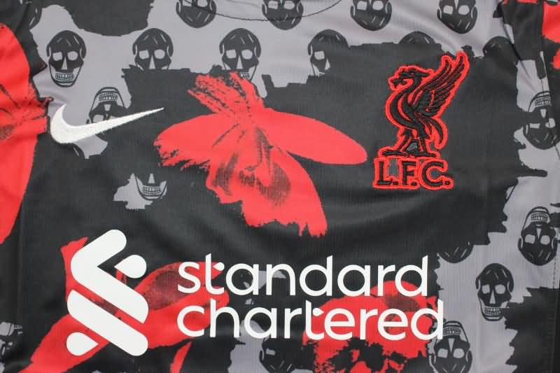 Liverpool Soccer Jersey Special Replica 23/24