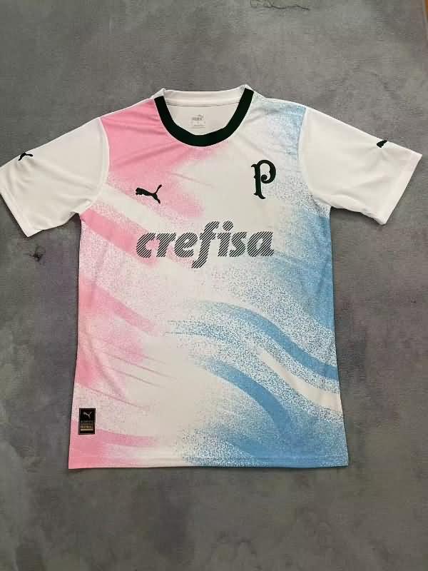 Palmeiras Soccer Jersey 04 Special Replica 2023