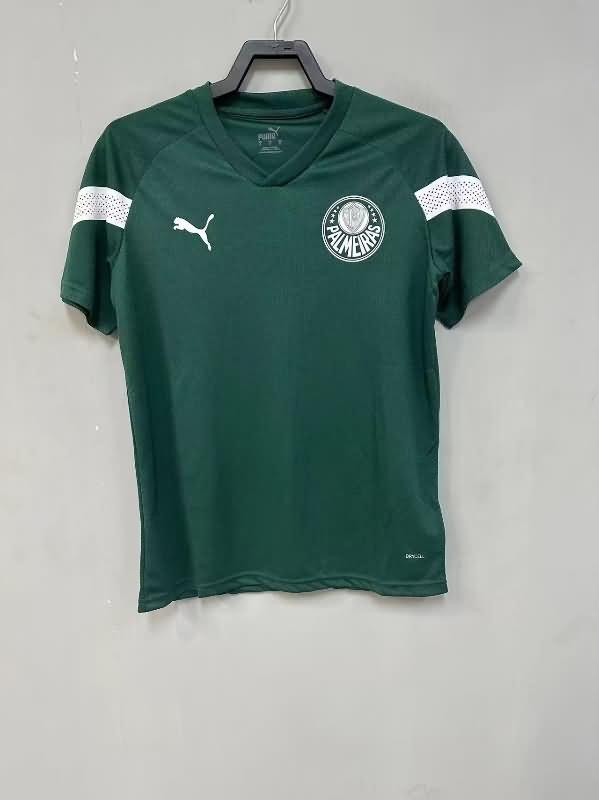 Palmeiras Training Jersey Replica 2023