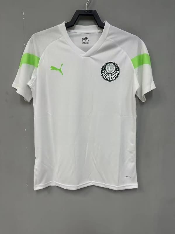 Palmeiras Training Jersey 02 Replica 2023