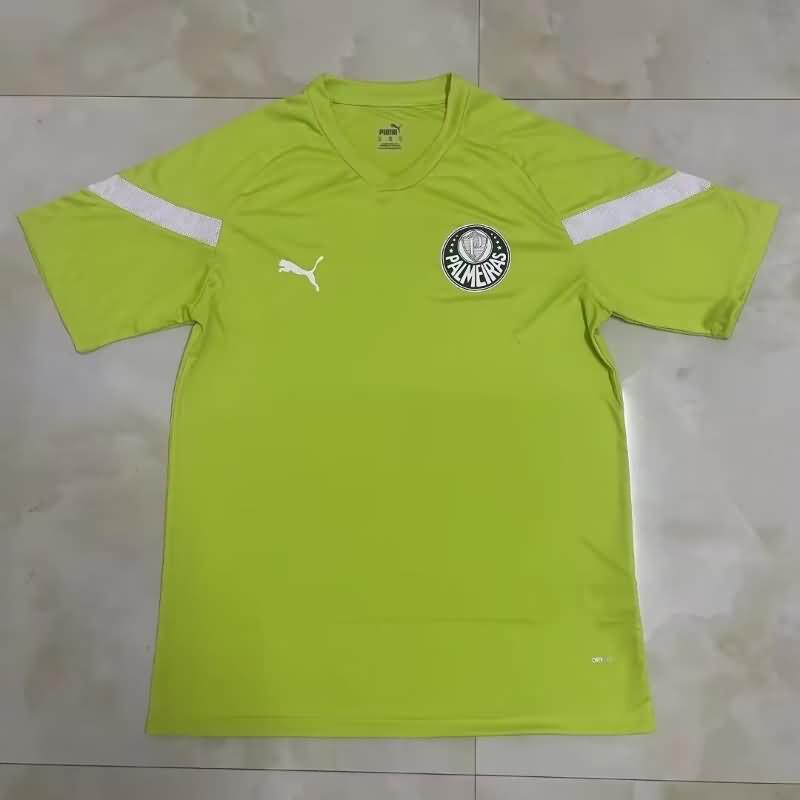 Palmeiras Training Jersey 03 Replica 2023