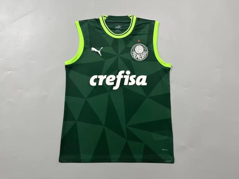 Palmeiras Training Jersey Vest Replica 2023