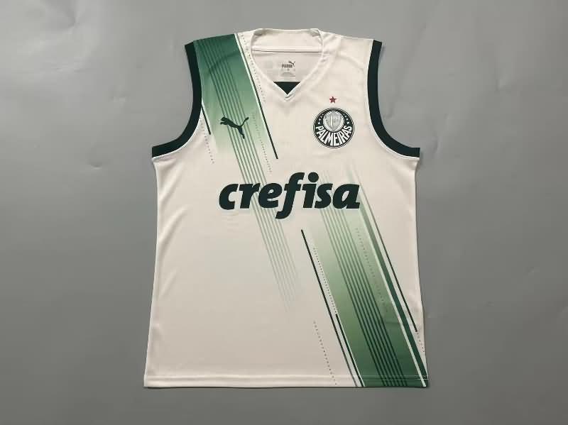 Palmeiras Training Jersey 02 Vest Replica 2023