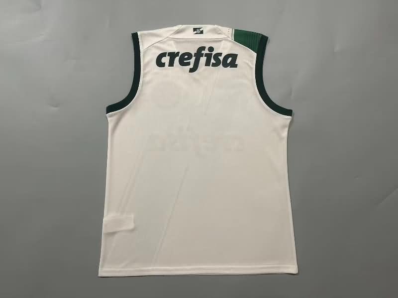 Palmeiras Training Jersey 02 Vest Replica 2023