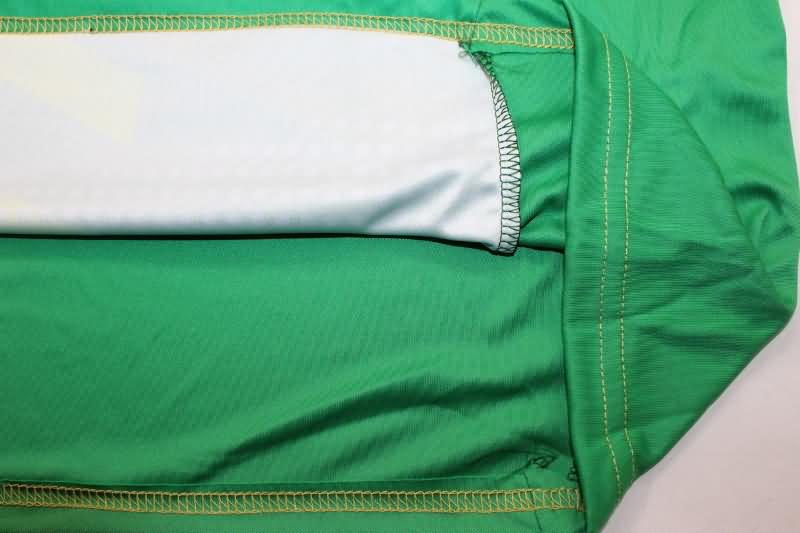 Aston Villa Soccer Jersey Goalkeeper Green Replica 24/25
