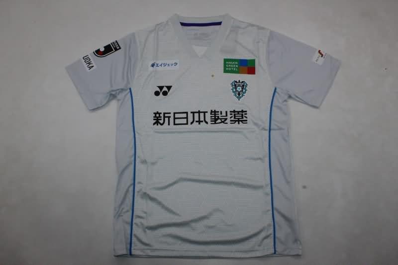 Avispa Fukuoka Soccer Jersey Away Replica 2024