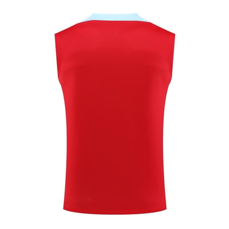 Barcelona Training Jersey 02 Vest Replica 24/25