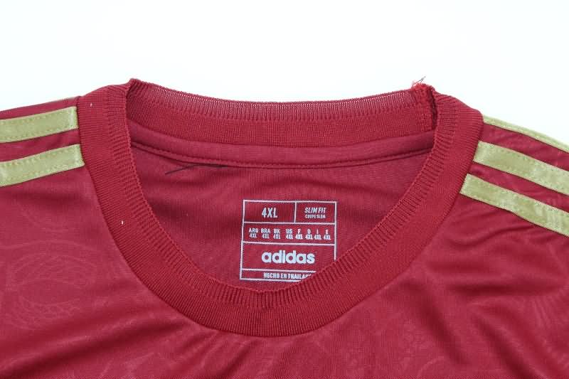 Bayern Munich Soccer Jersey Anniversary Replica 125th