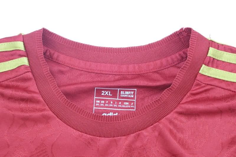 Bayern Munich Soccer Jersey Anniversary Long Sleeve (Player) 125th