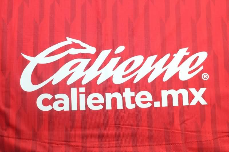 Deportivo Toluca Soccer Jersey Home Replica 24/25