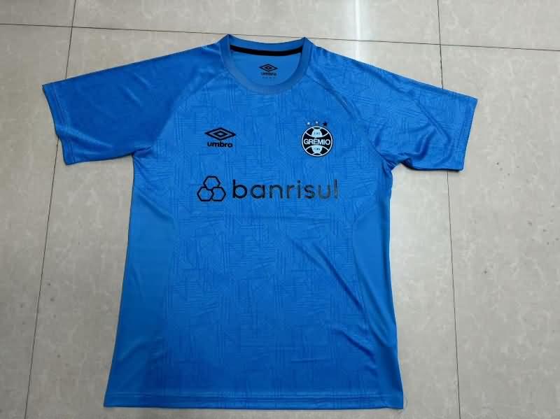 Gremio Training Jersey Replica 2024