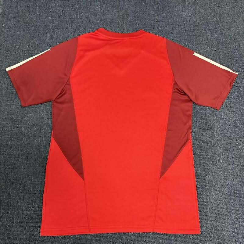 Sport Club Internacional Training Jersey 02 Replica 2024