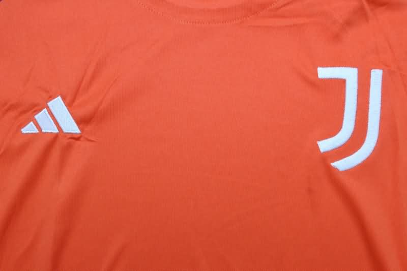 Juventus Training Jersey 03 Replica 24/25