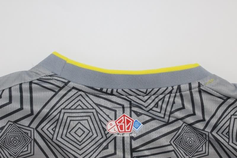 Lille Soccer Jersey Third Replica 24/25