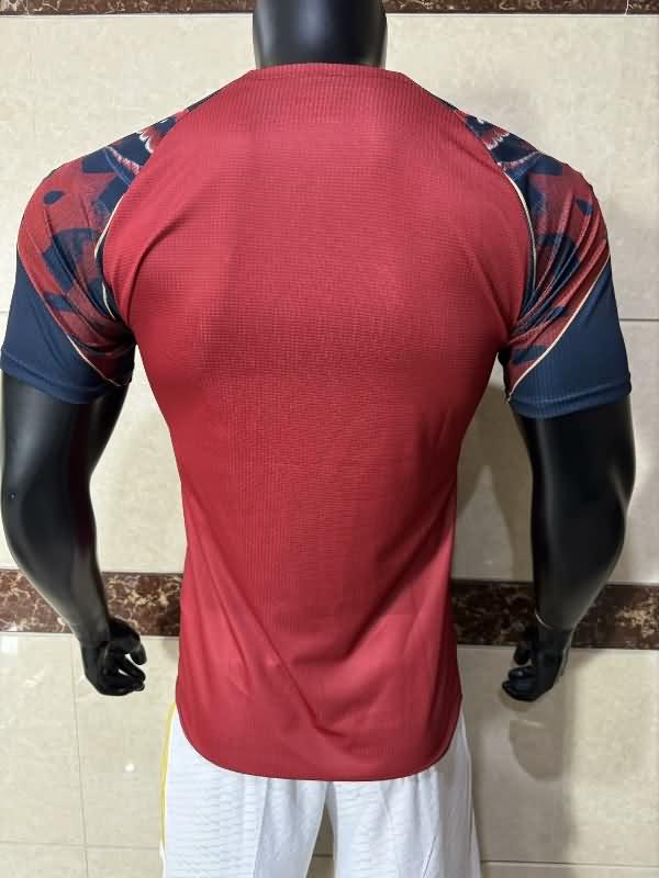 Manchester United Soccer Jersey 09 Special (Player) 24/25