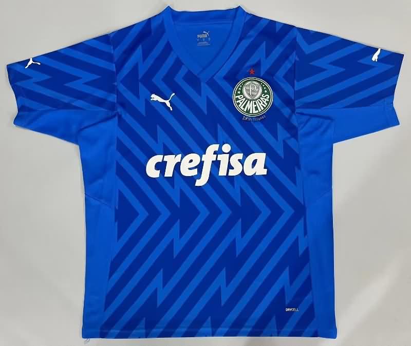 Palmeiras Soccer Jersey Goalkeeper Blue Replica 2024