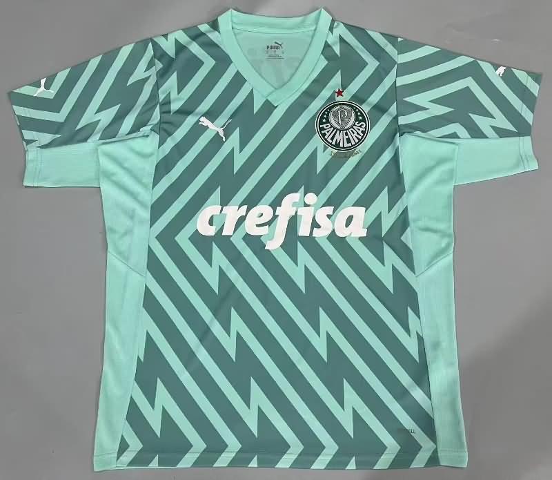 Palmeiras Soccer Jersey Goalkeeper Green Replica 2024