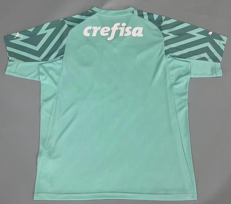 Palmeiras Soccer Jersey Goalkeeper Green Replica 2024