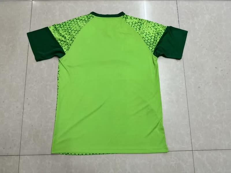 Palmeiras Training Jersey 03 Replica 2024