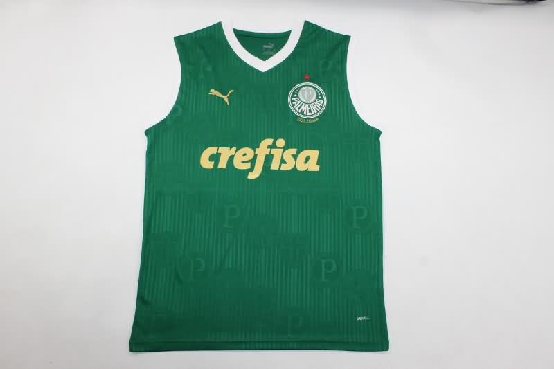 Palmeiras Training Jersey Vest Replica 2024