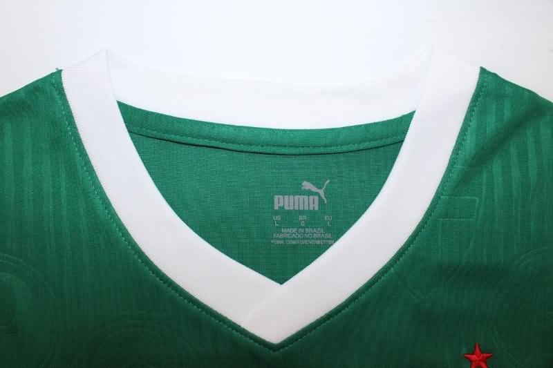 Palmeiras Training Jersey Vest Replica 2024