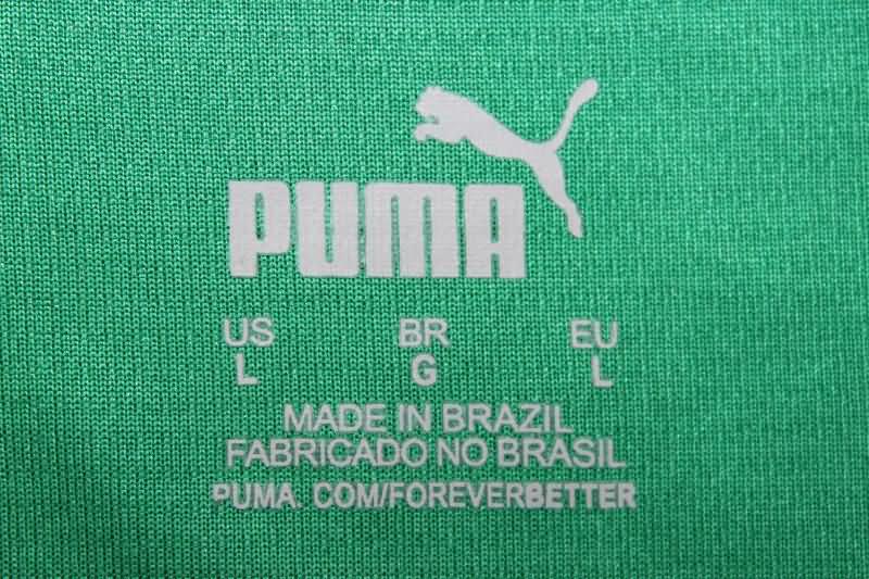 Palmeiras Training Jersey Vest Replica 2024