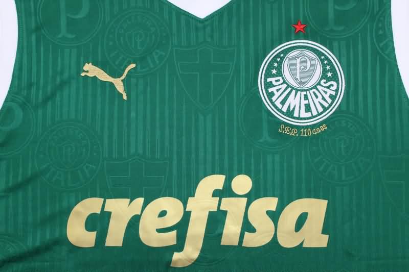 Palmeiras Training Jersey Vest Replica 2024