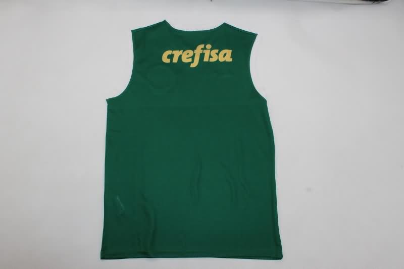 Palmeiras Training Jersey Vest Replica 2024