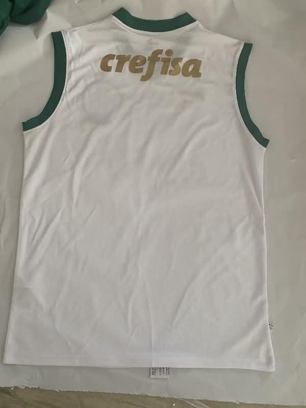 Palmeiras Training Jersey 02 Vest Replica 2024