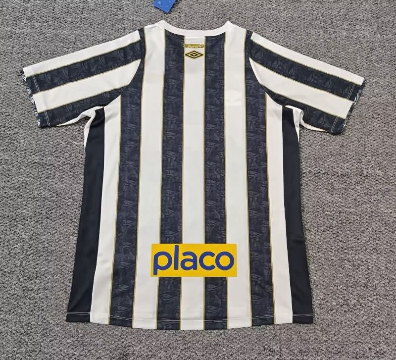 Santos Soccer Jersey Away Replica 2024