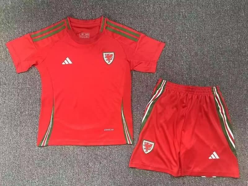 Kids Wales Soccer Jersey Home Replica 2024