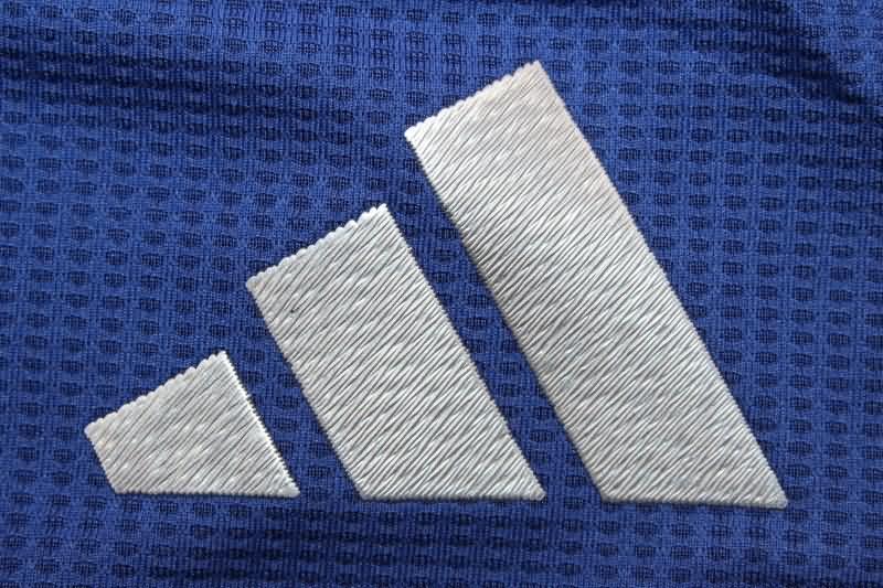Manchester United Soccer Shorts Away (Player) 24/25