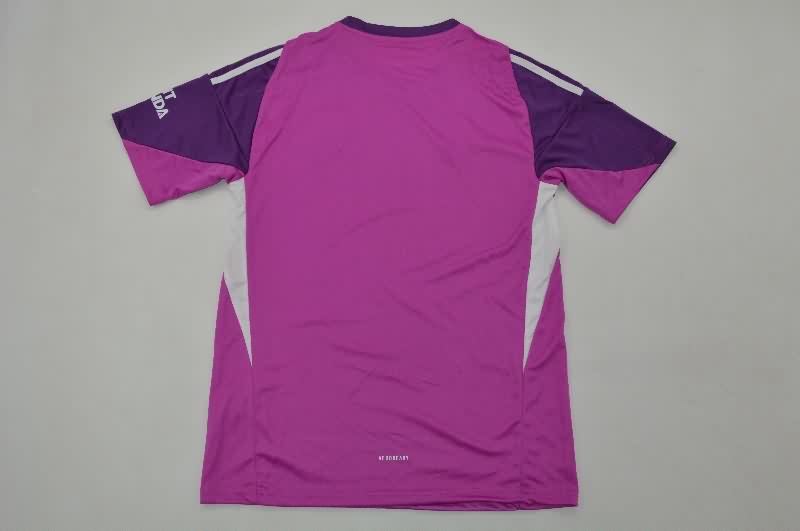 AAA Quality Arsenal 25/26 Goalkeeper Purple Soccer Jersey