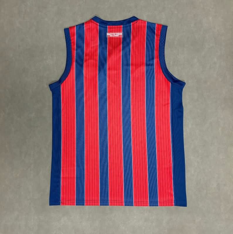 AAA Quality Bahia 2025 Training Vest Soccer Jersey
