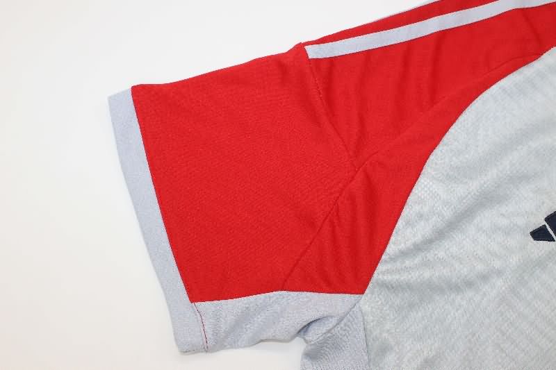 AAA Quality Bayern Munich 25/26 Grey Soccer Jersey