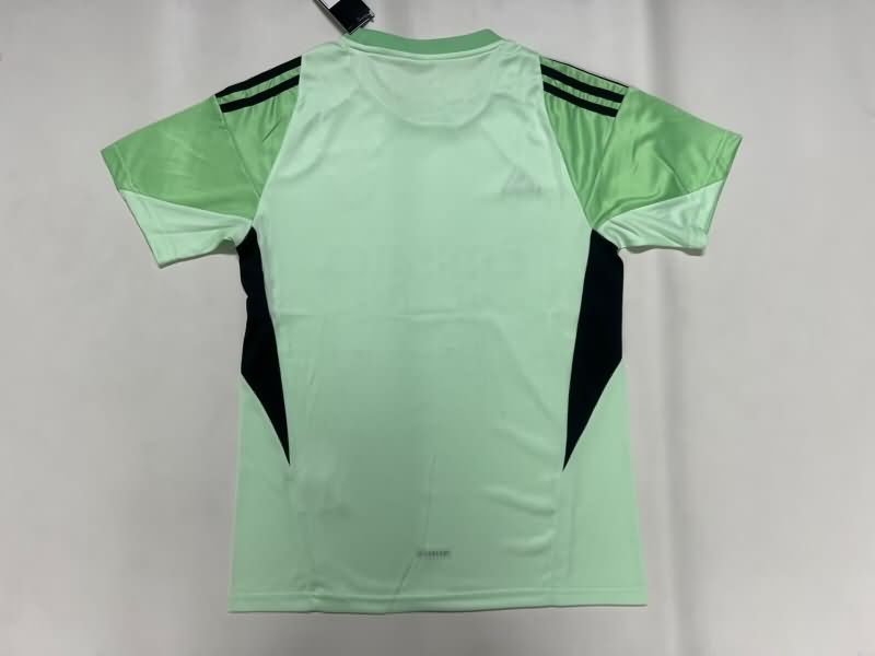 AAA Quality Benfica 25/26 Goalkeeper Green Soccer Jersey
