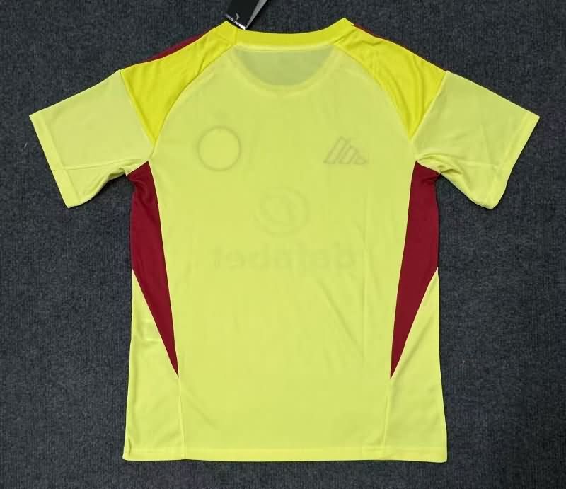 AAA Quality Celtic 25/26 Third Soccer Jersey