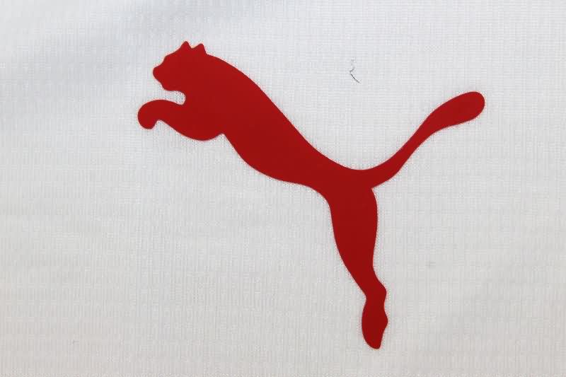 AAA Quality Galatasaray 25/26 Away Soccer Jersey