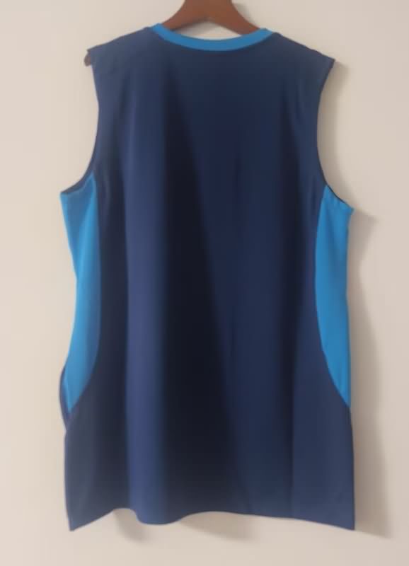 AAA Quality Gremio 2025 Training Vest Soccer Jersey 02