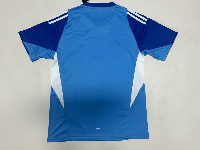AAA Quality Juventus 25/26 Goalkeeper Blue Soccer Jersey