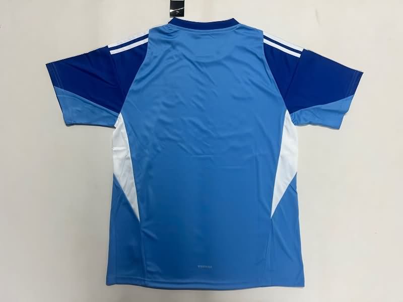 AAA Quality Liverpool 25/26 Goalkeeper Blue Soccer Jersey